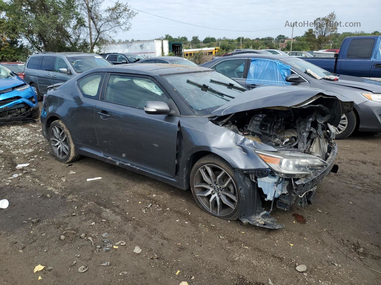 2015 Toyota Scion Tc  Gray vin: JTKJF5C7XF3092176