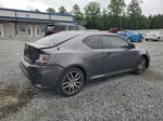 2015 Toyota Scion Tc  Gray vin: JTKJF5C7XF3096552