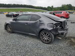 2015 Toyota Scion Tc  Серый vin: JTKJF5C7XF3096552