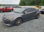 2015 Toyota Scion Tc  Серый vin: JTKJF5C7XF3096552