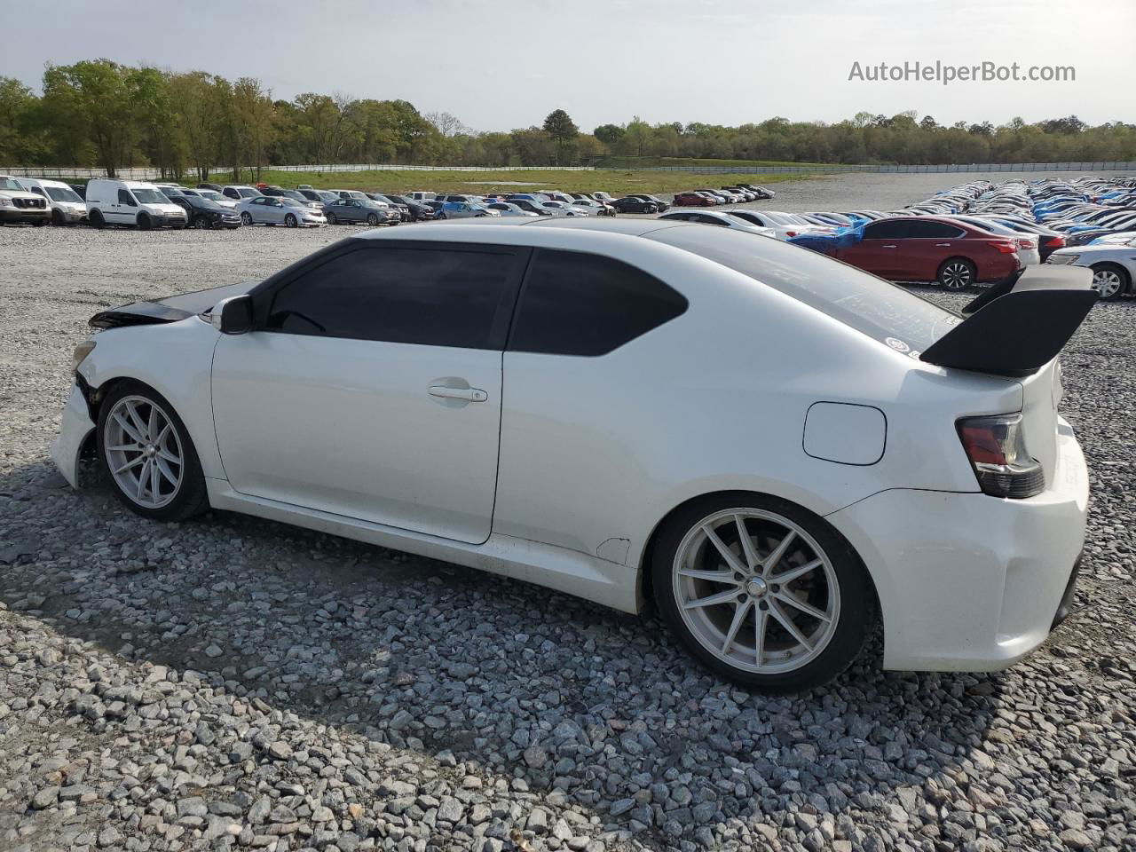 2015 Toyota Scion Tc  Белый vin: JTKJF5C7XFJ005761