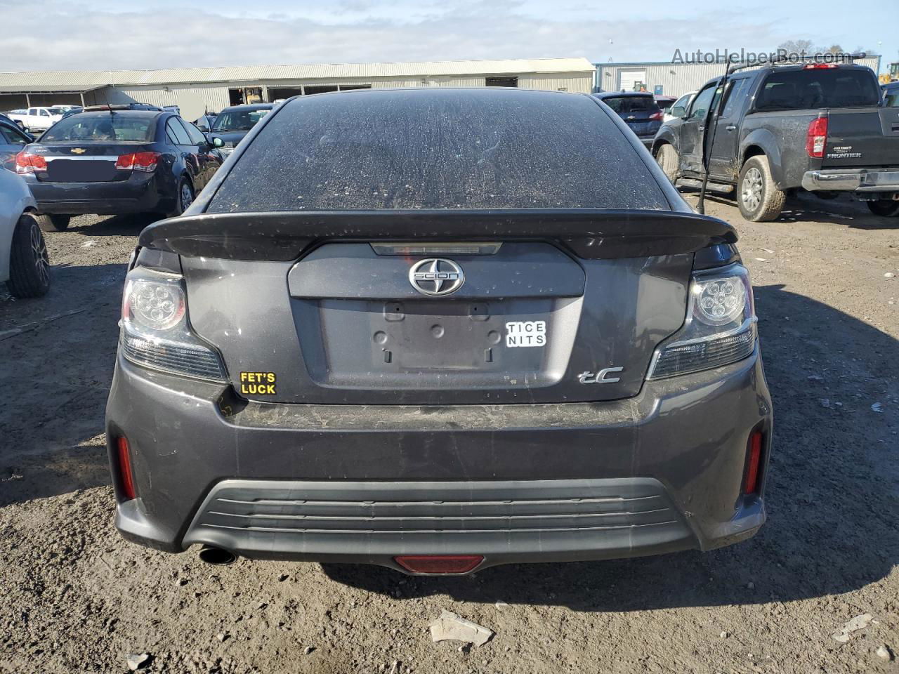 2015 Toyota Scion Tc  Gray vin: JTKJF5C7XFJ008482