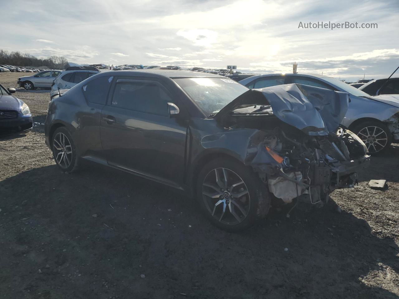 2015 Toyota Scion Tc  Gray vin: JTKJF5C7XFJ008482