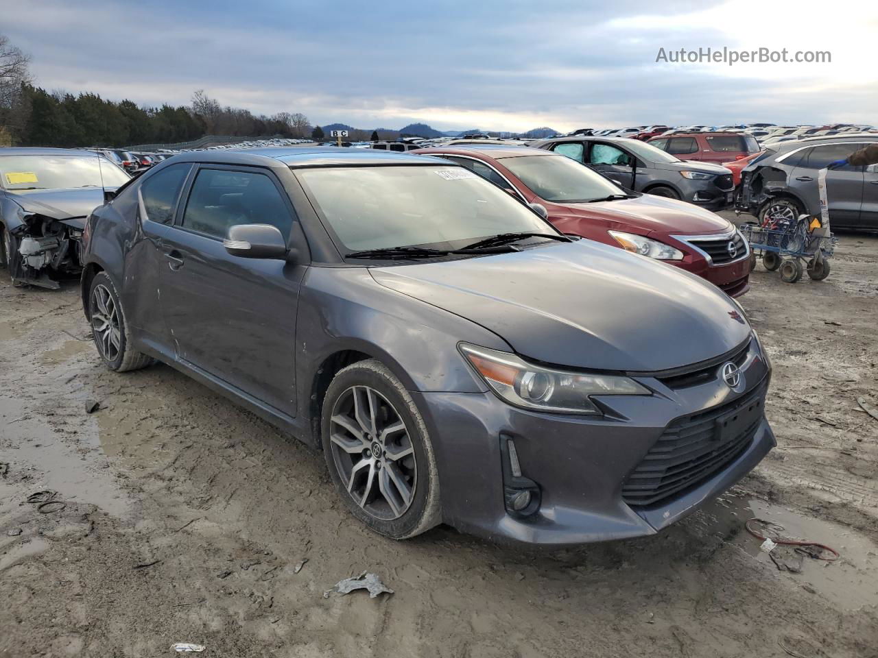 2015 Toyota Scion Tc  Charcoal vin: JTKJF5C7XFJ010474