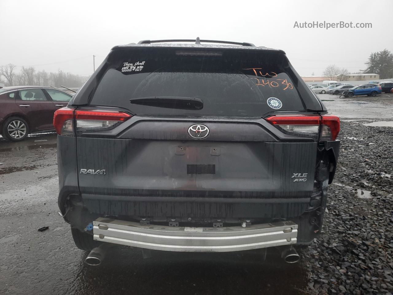 2019 Toyota Rav4 Xle Premium Угольный vin: JTMA1RFV8KD524016