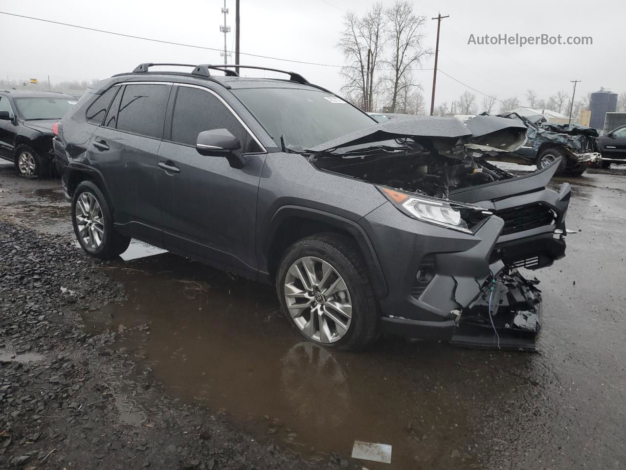 2019 Toyota Rav4 Xle Premium Угольный vin: JTMA1RFV8KD524016