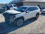 2019 Toyota Rav4 Xle Premium White vin: JTMA1RFVXKD515530