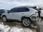 2019 Toyota Rav4 Xle Premium Silver vin: JTMA1RFVXKJ023291