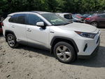 2021 Toyota Rav4 Xle Premium White vin: JTMB6RFV3MD505897