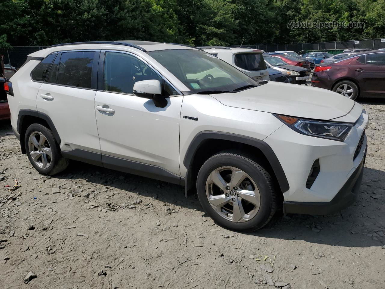 2021 Toyota Rav4 Xle Premium White vin: JTMB6RFV3MD505897