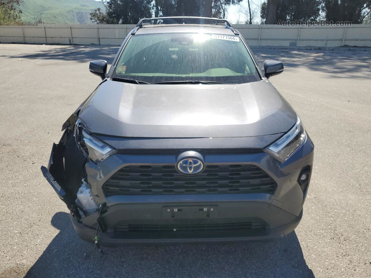 2023 Toyota Rav4 Xle Premium Gray vin: JTMB6RFV7PD103062