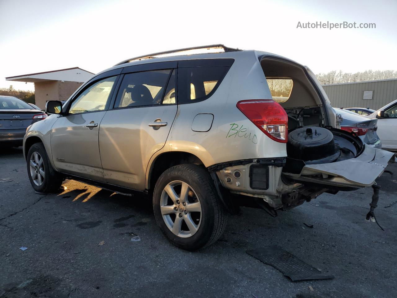 2007 Toyota Rav4 Limited Gold vin: JTMBD31V476033910