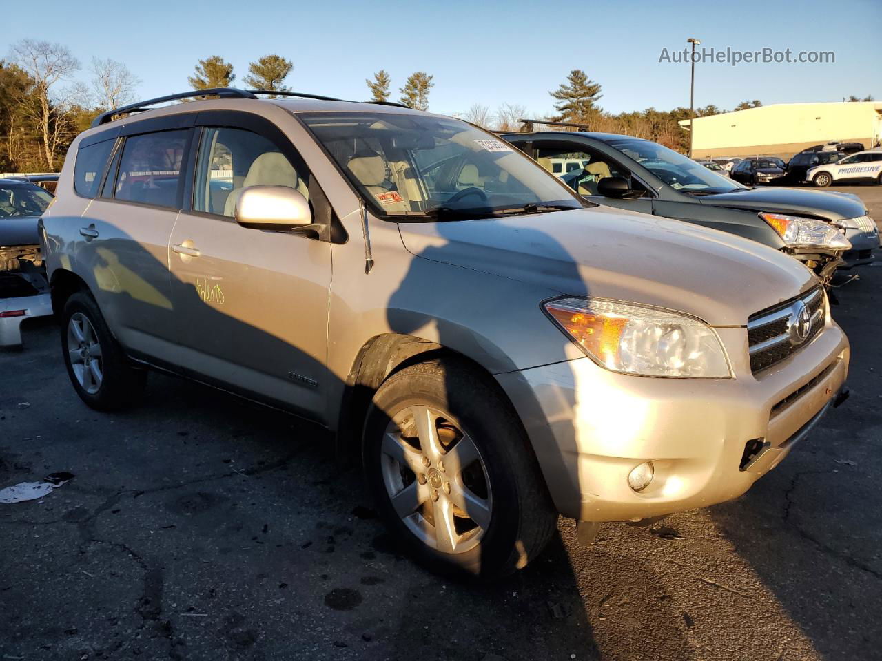 2007 Toyota Rav4 Limited Gold vin: JTMBD31V476033910