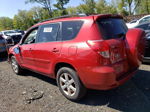 2007 Toyota Rav4 Limited Красный vin: JTMBD31VX76041400