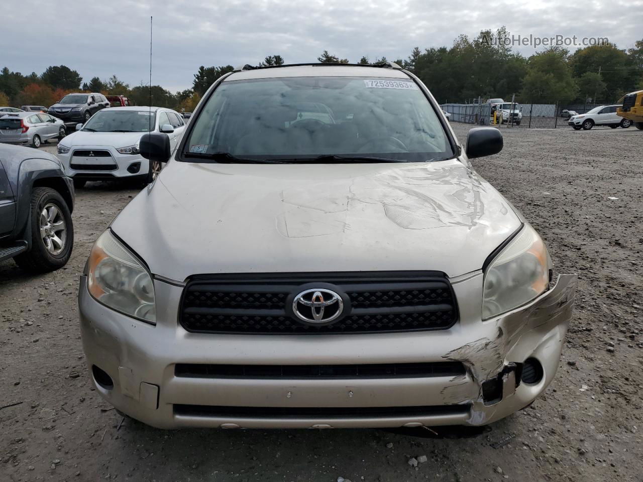 2007 Toyota Rav4  Бежевый vin: JTMBD33V276040934