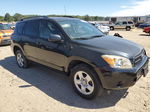 2007 Toyota Rav4  Black vin: JTMBD33VX75112744