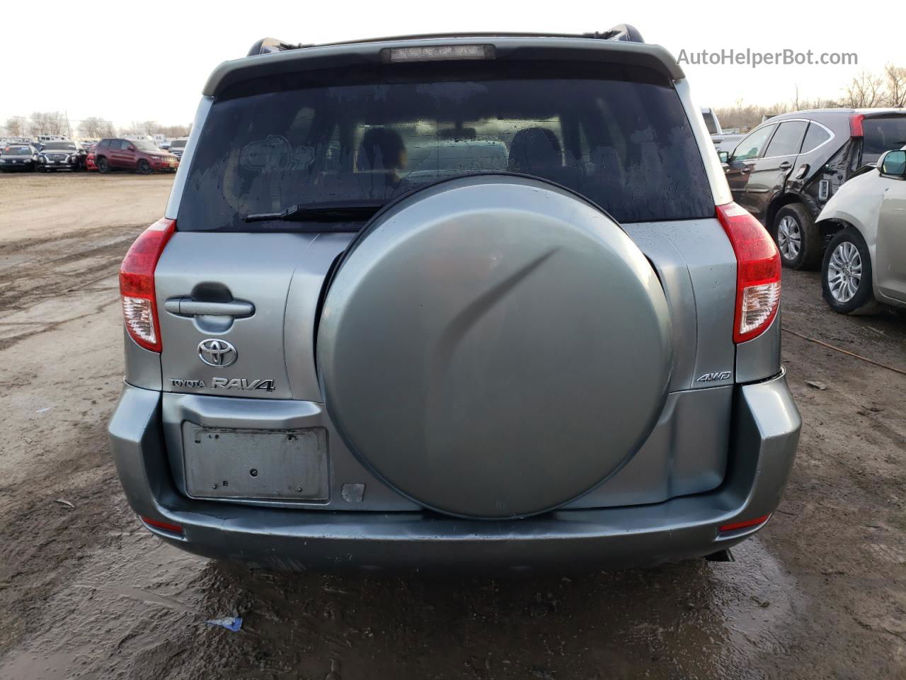 2007 Toyota Rav4  Серый vin: JTMBD35V375093435