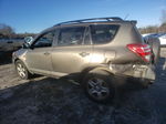 2010 Toyota Rav4  Tan vin: JTMBF4DV1AD029327