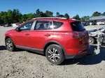 2016 Toyota Rav4 Le Красный vin: JTMBFREV0GJ060879