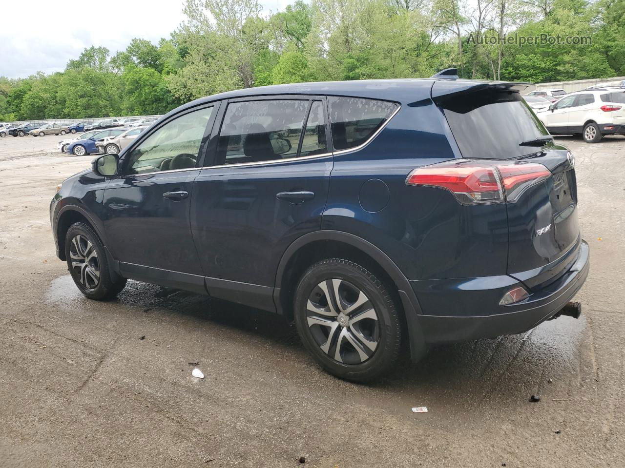 2017 Toyota Rav4 Le Blue vin: JTMBFREV0HJ715849