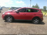 2016 Toyota Rav4 Le Red vin: JTMBFREV1GJ097584