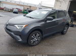 2017 Toyota Rav4 Le Серый vin: JTMBFREV1HJ111002