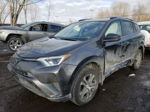 2017 Toyota Rav4 Le Gray vin: JTMBFREV3HJ712749