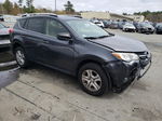 2015 Toyota Rav4 Le Gray vin: JTMBFREV5FJ048869