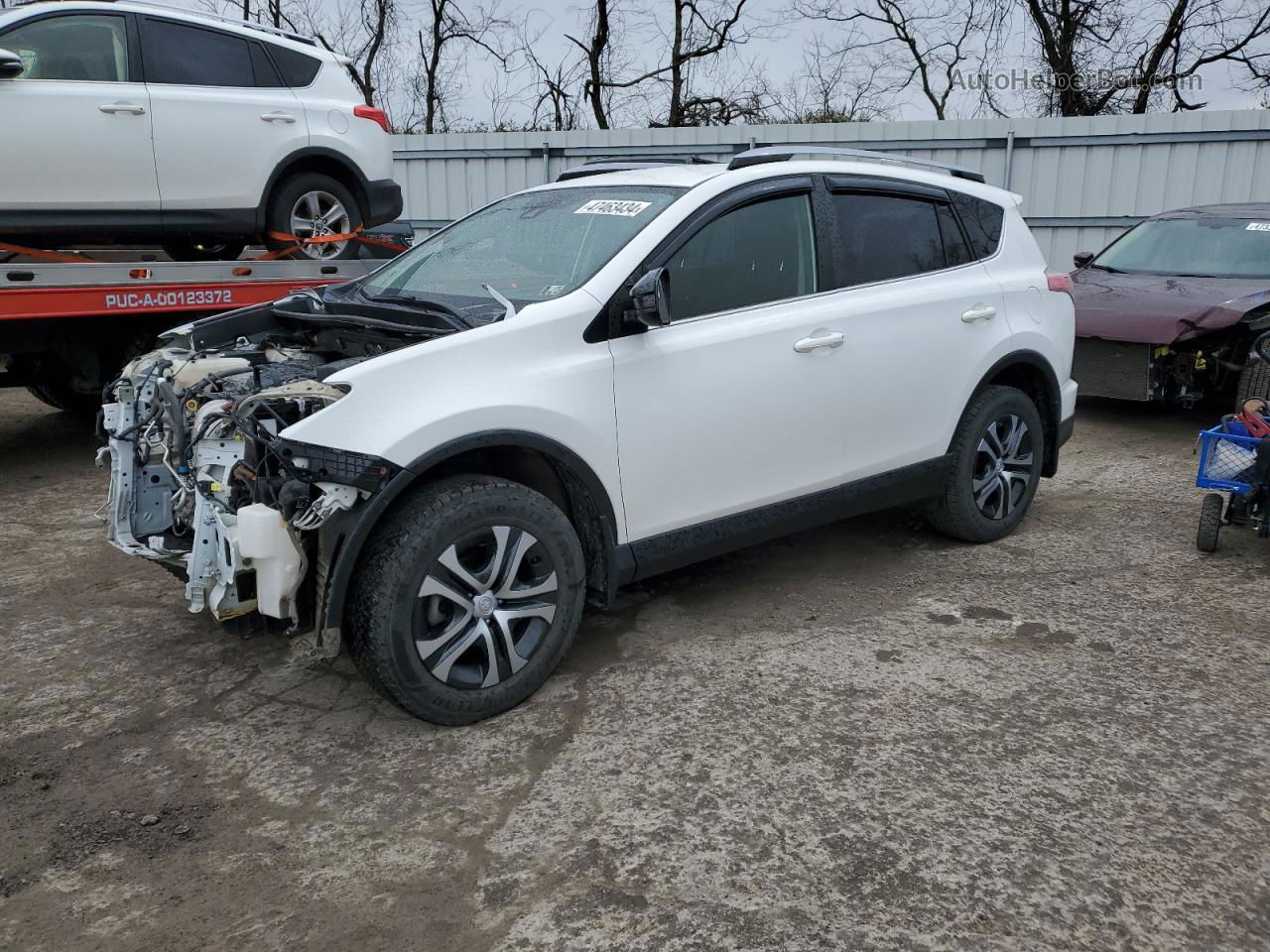 2017 Toyota Rav4 Le White vin: JTMBFREV5HD206290