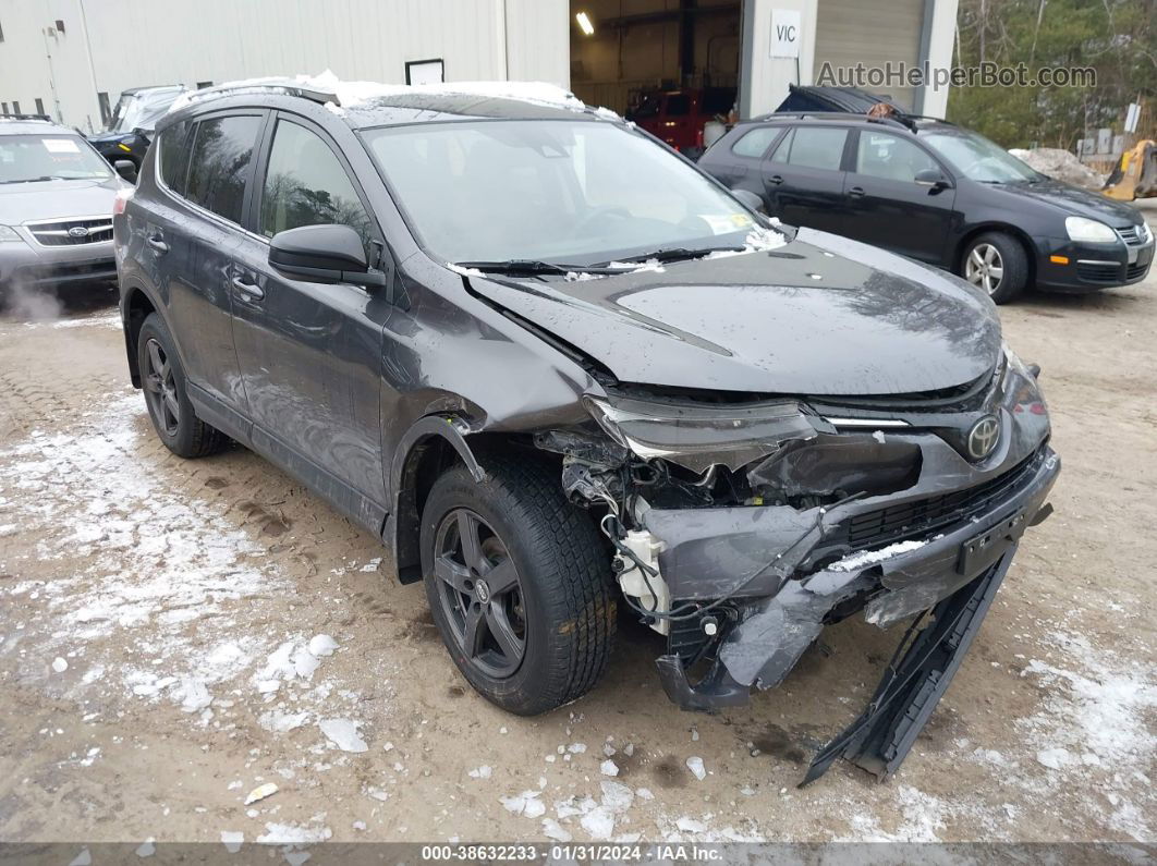 2017 Toyota Rav4 Le Gray vin: JTMBFREV5HJ141667