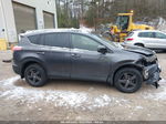 2017 Toyota Rav4 Le Gray vin: JTMBFREV5HJ141667