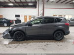 2015 Toyota Rav4 Le Gray vin: JTMBFREV8FJ030060