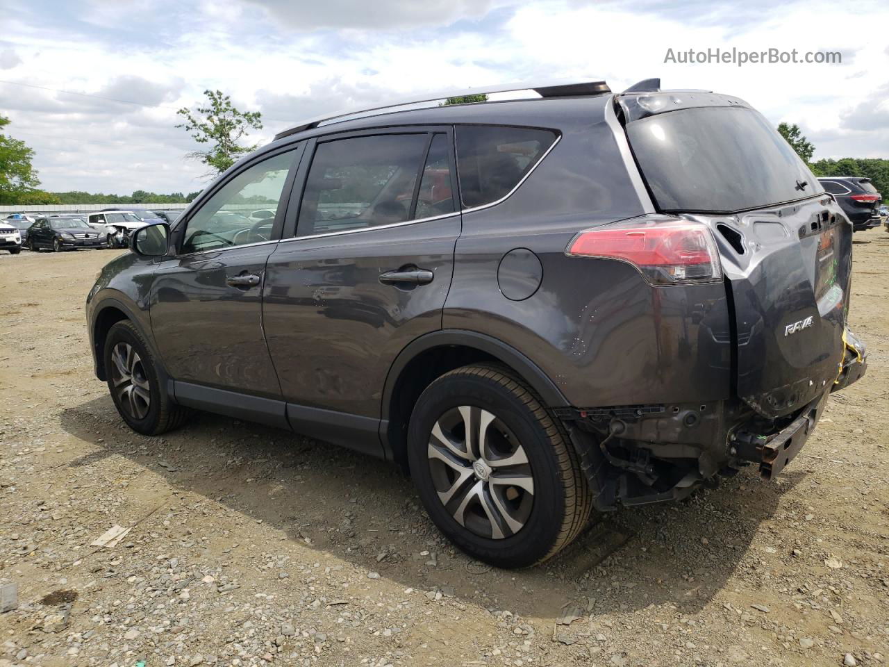 2016 Toyota Rav4 Le Gray vin: JTMBFREV9GJ077650