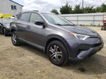 2016 Toyota Rav4 Le Gray vin: JTMBFREV9GJ077650