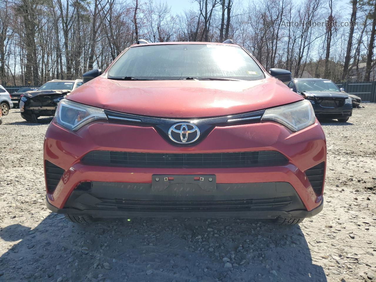 2016 Toyota Rav4 Le Красный vin: JTMBFREVXGJ059058