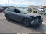 2021 Toyota Rav4 Xle Premium Серый vin: JTMC1RFV4MJ022553