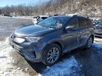 2017 Toyota Rav4 Hv Limited Gray vin: JTMDJREV2HD145424