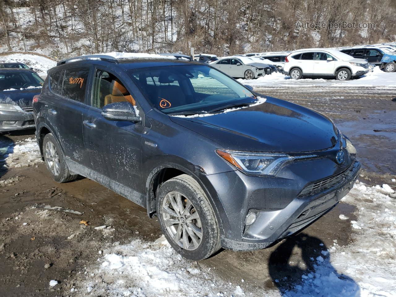 2017 Toyota Rav4 Hv Limited Gray vin: JTMDJREV2HD145424