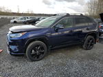 2019 Toyota Rav4 Xse Blue vin: JTMEWRFV9KJ018361