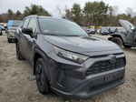 2019 Toyota Rav4 Le Gray vin: JTMF1RFV6KD045437