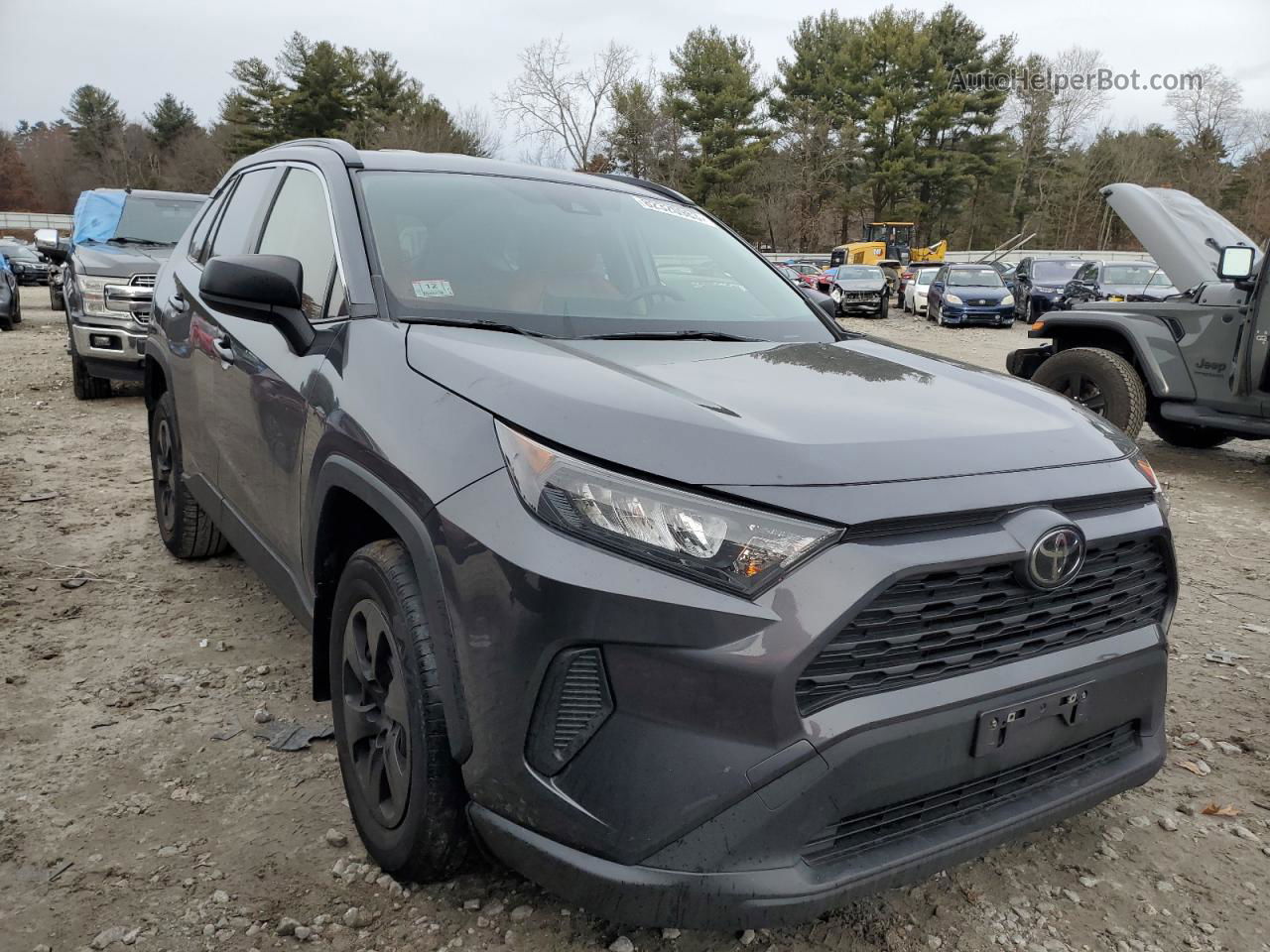 2019 Toyota Rav4 Le Gray vin: JTMF1RFV6KD045437