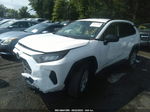 2019 Toyota Rav4 Le White vin: JTMF1RFV8KJ005023