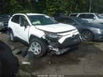 2019 Toyota Rav4 Le White vin: JTMF1RFV8KJ005023