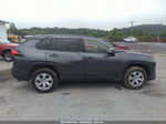 2019 Toyota Rav4 Le Gray vin: JTMG1RFV4KD501455