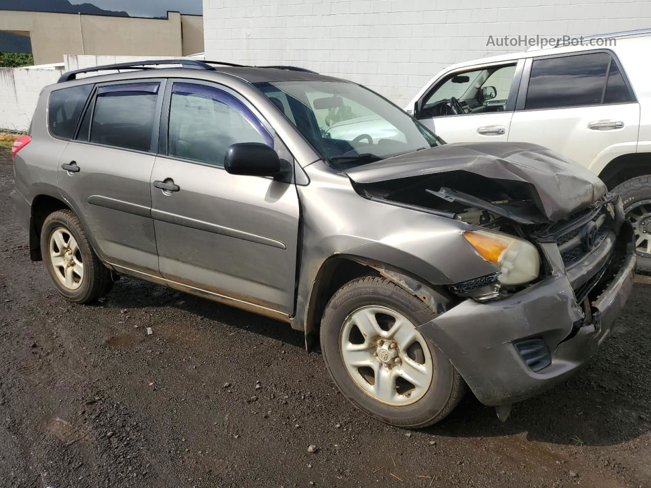 2010 Toyota Rav4  Коричневый vin: JTMKF4DV9A5021258