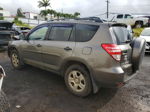 2010 Toyota Rav4  Коричневый vin: JTMKF4DV9A5021258