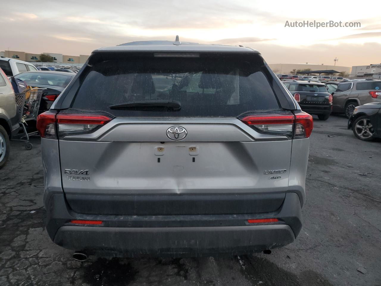 2019 Toyota Rav4 Limited Silver vin: JTMN1RFV4KD505089