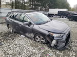 2019 Toyota Rav4 Xle Gray vin: JTMP1RFV1KD047505