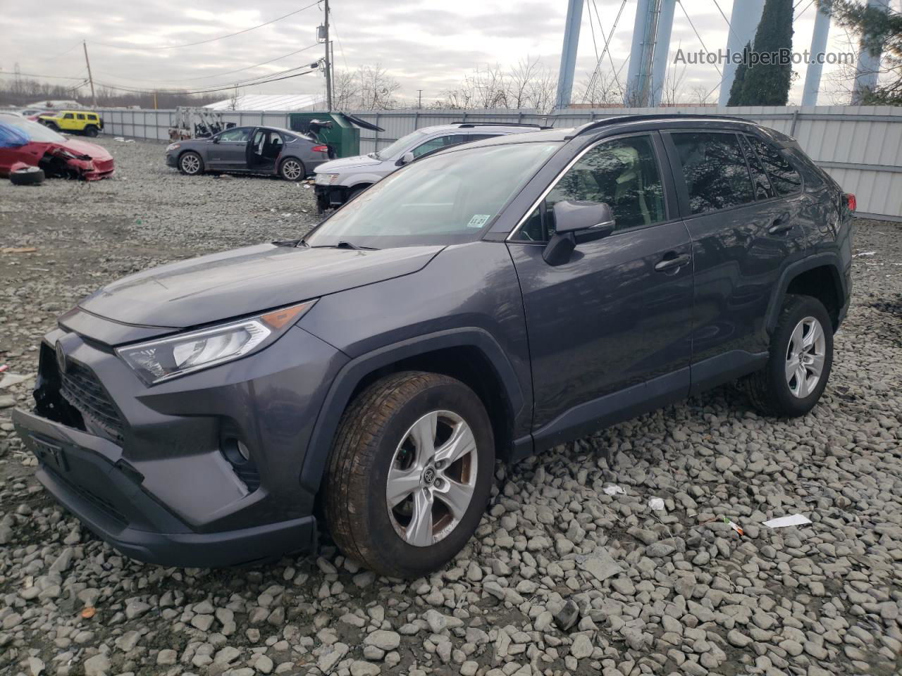 2019 Toyota Rav4 Xle Gray vin: JTMP1RFV1KD047505