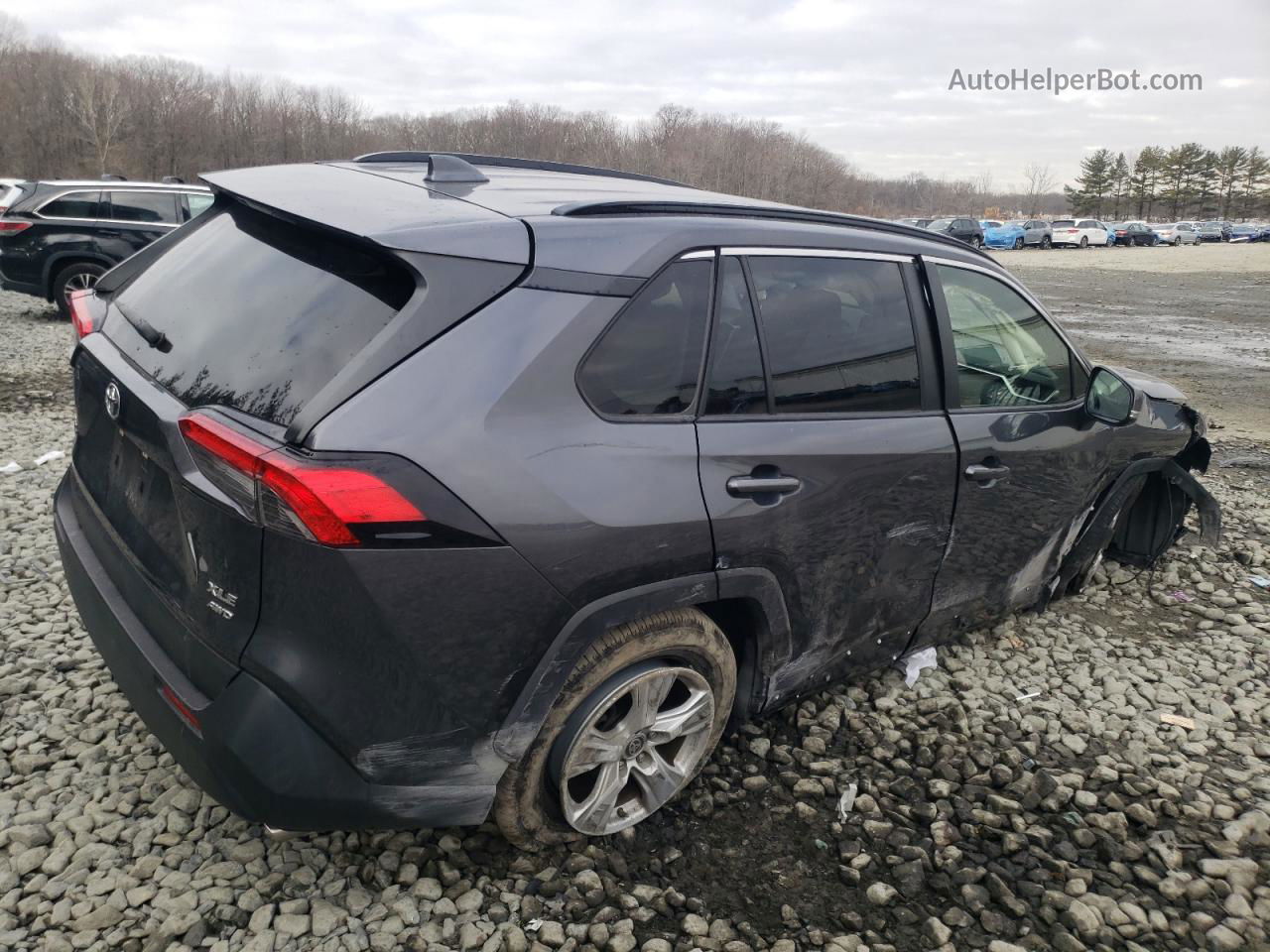 2019 Toyota Rav4 Xle Gray vin: JTMP1RFV1KD047505